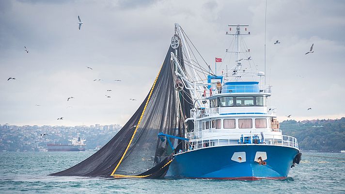 Telediario 2 - La UE da luz verde cuotas de pesca para 2022 con recortes para los pesqueros españoles