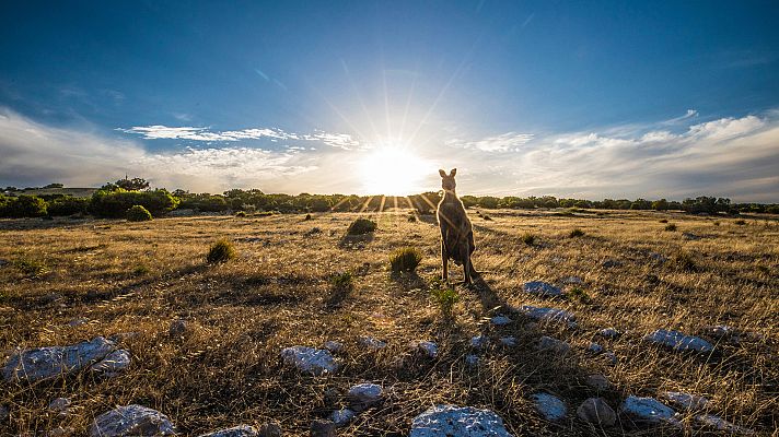 Turismo rural en el mundo - Australia