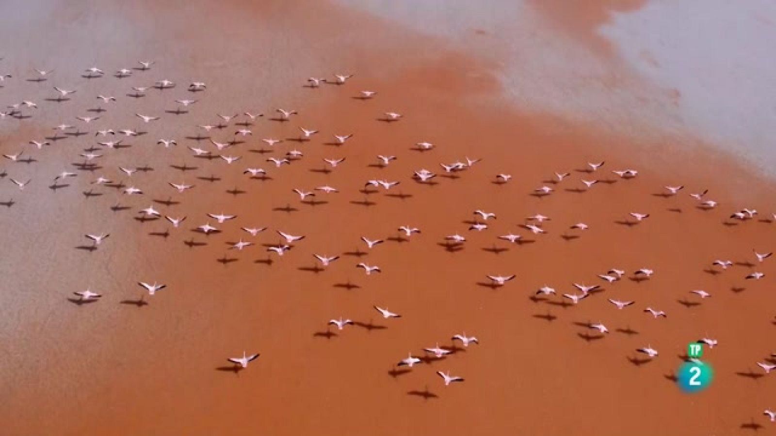 Grans Documentals - Els Andes salvatges: Supervivència extrema - Veure ara