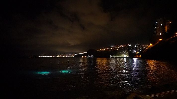 El escarabajo verde - Avance de 'Una historia para no dormir'