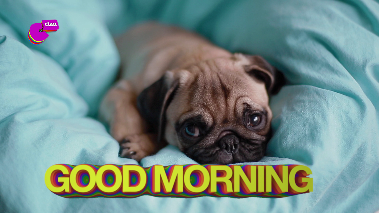 CAMPAÑA 'FOMENTO DE IDIOMAS' - Así se dice 'buenos días' en inglés, francés o italiano - El mes de... | Ver