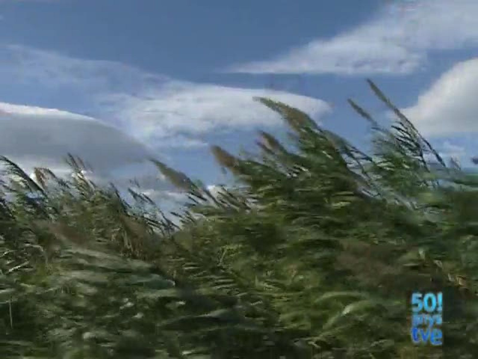 El Temps vespre (09/11/09)