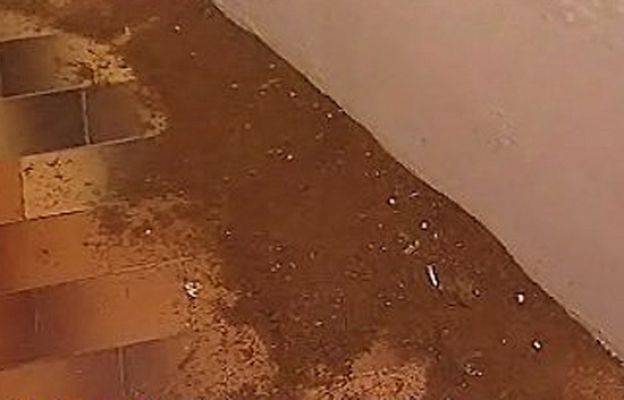 España Directo - Me comen los mosquitos