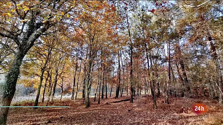El tiempo - Nuboso o con intervalos nubosos en todo el área mediterránea, cuenca del Ebro y cuadrante sureste peninsular