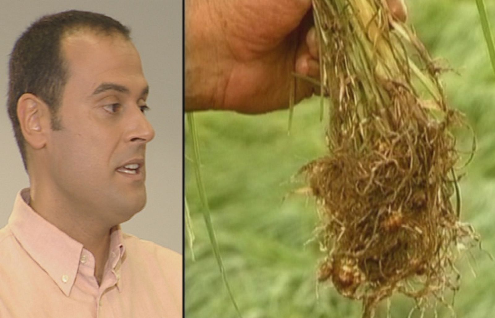 Fábrica de ideas - Invierte: Món Orxata | Ver