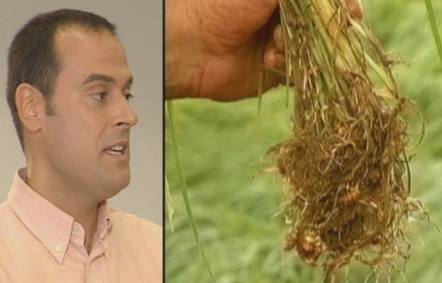 Fábrica de ideas - Invierte: Món Orxata