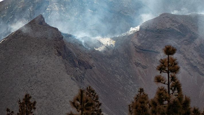 Telediario Fin de Semana - Ángel Víctor Torres, presidente de Canarias: "De aquí a que acabe el año adquiriremos más de 100 viviendas"