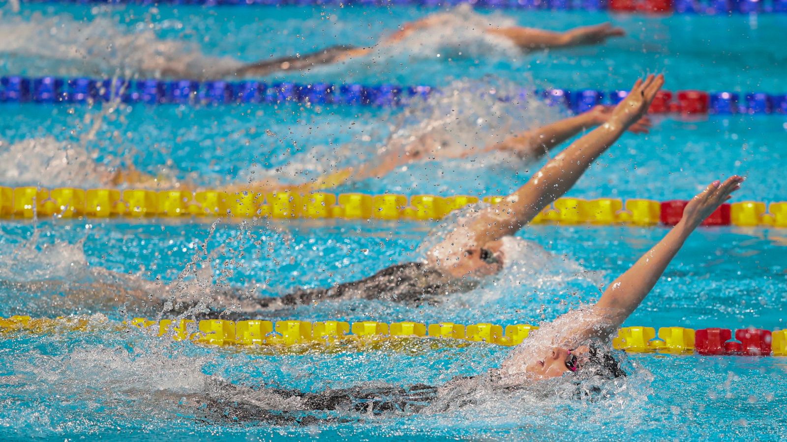Natación - Campeonato del Mundo piscina corta. Sesión vespertina (2) - ver ahora