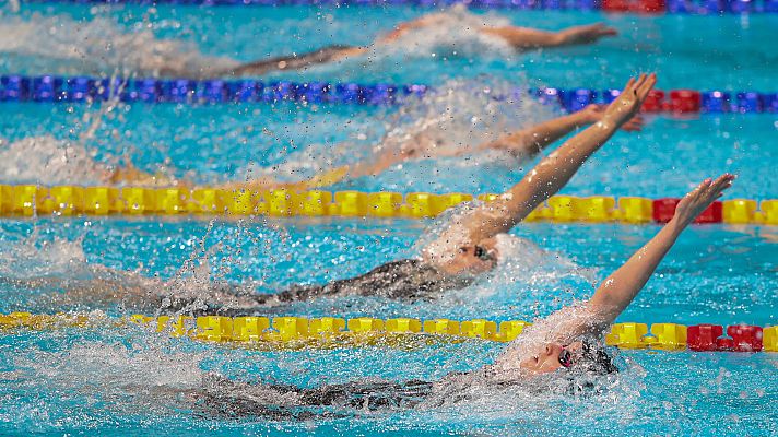 Natación - Campeonato del Mundo piscina corta. Sesión vespertina (2)