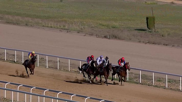 Hípica - Carreras de caballos. Hipódromo de Dos Hermanas (Sevilla)