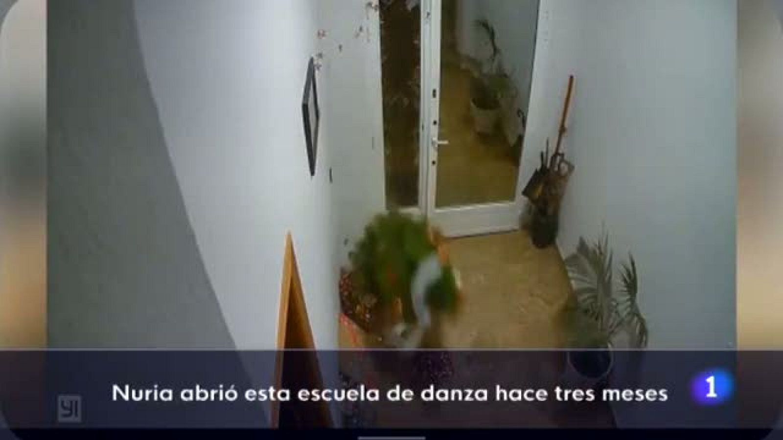 Informativo Telerioja - 20/12/21