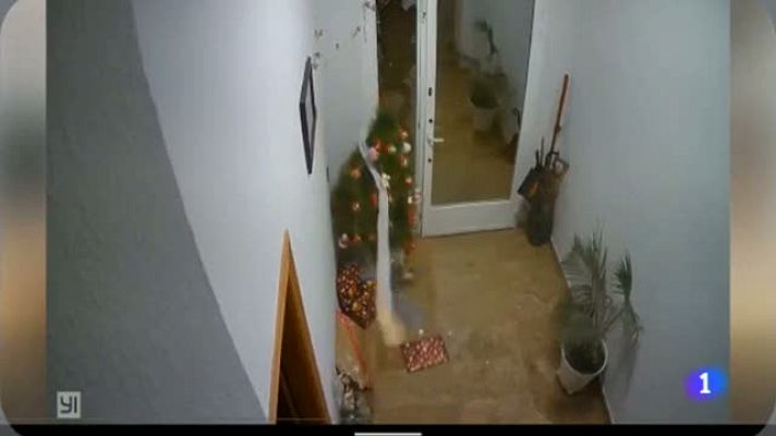 Informativo Telerioja - Informativo Telerioja 2 - 20/12/21