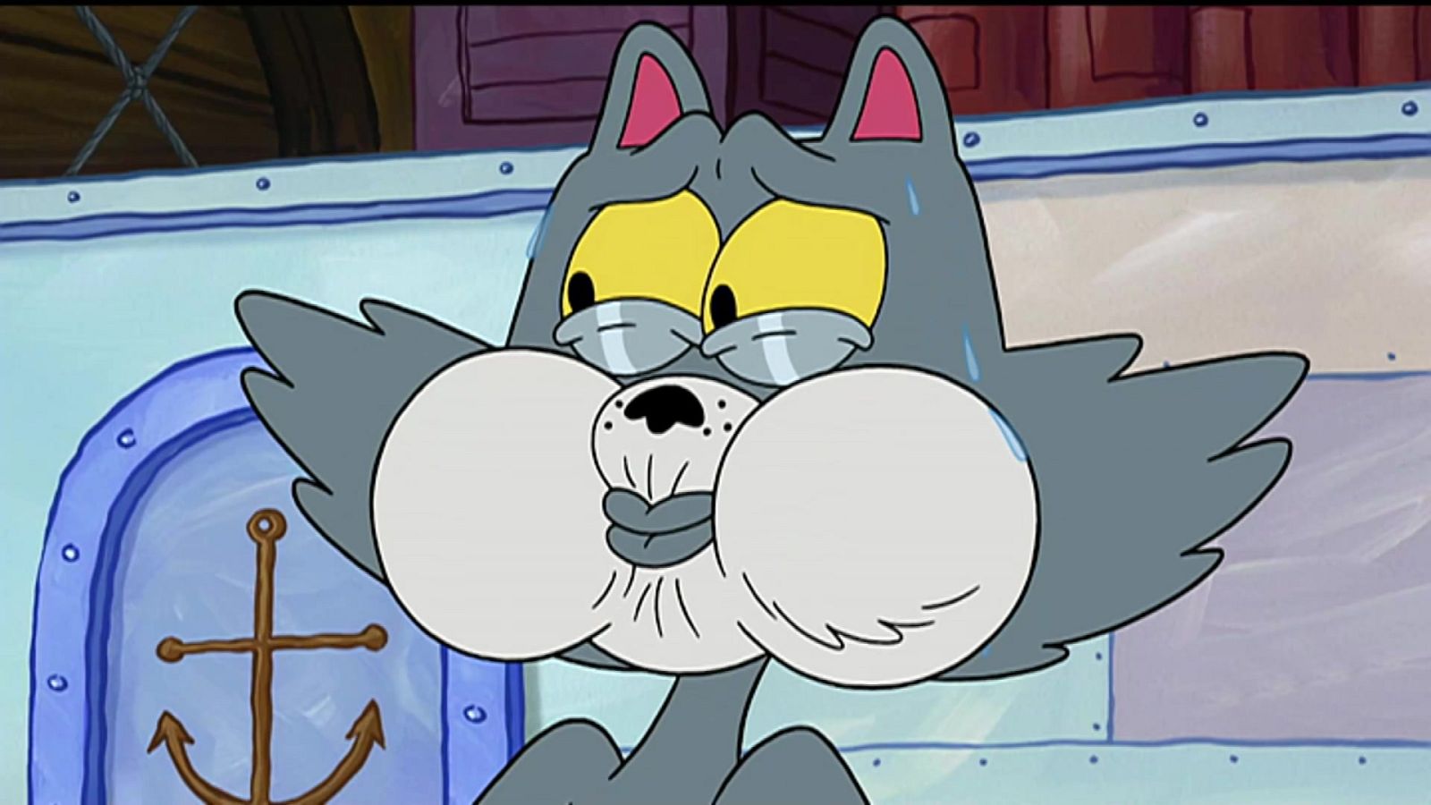 El gato Kenny - Bob Esponja | Ver