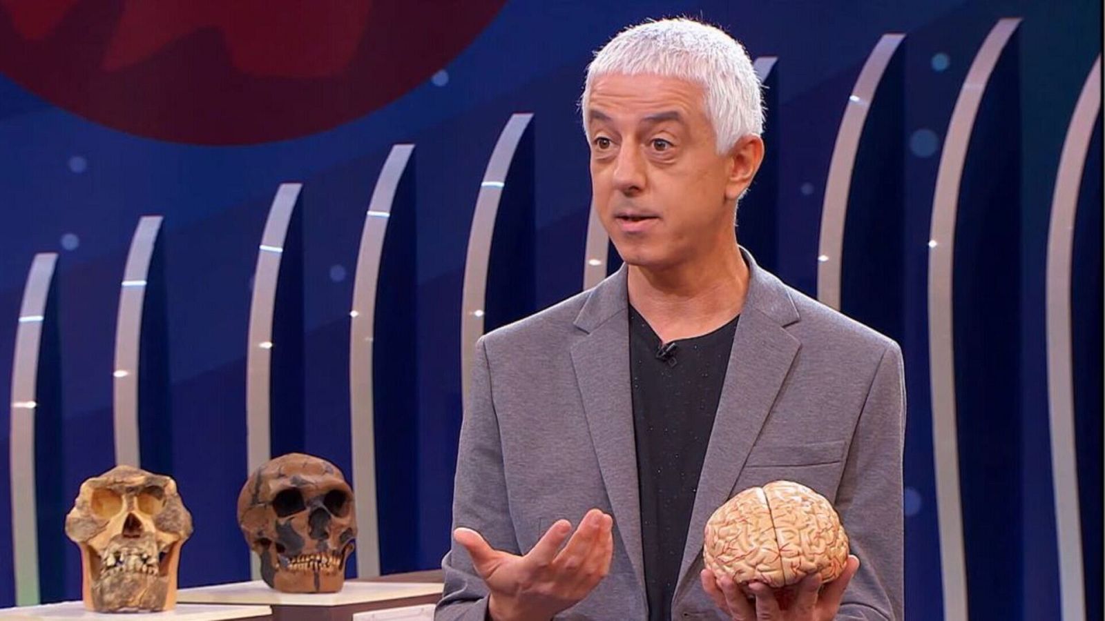 Órbita Laika - Neurociencia con Xurxo Mariño - La evolución del cerebro