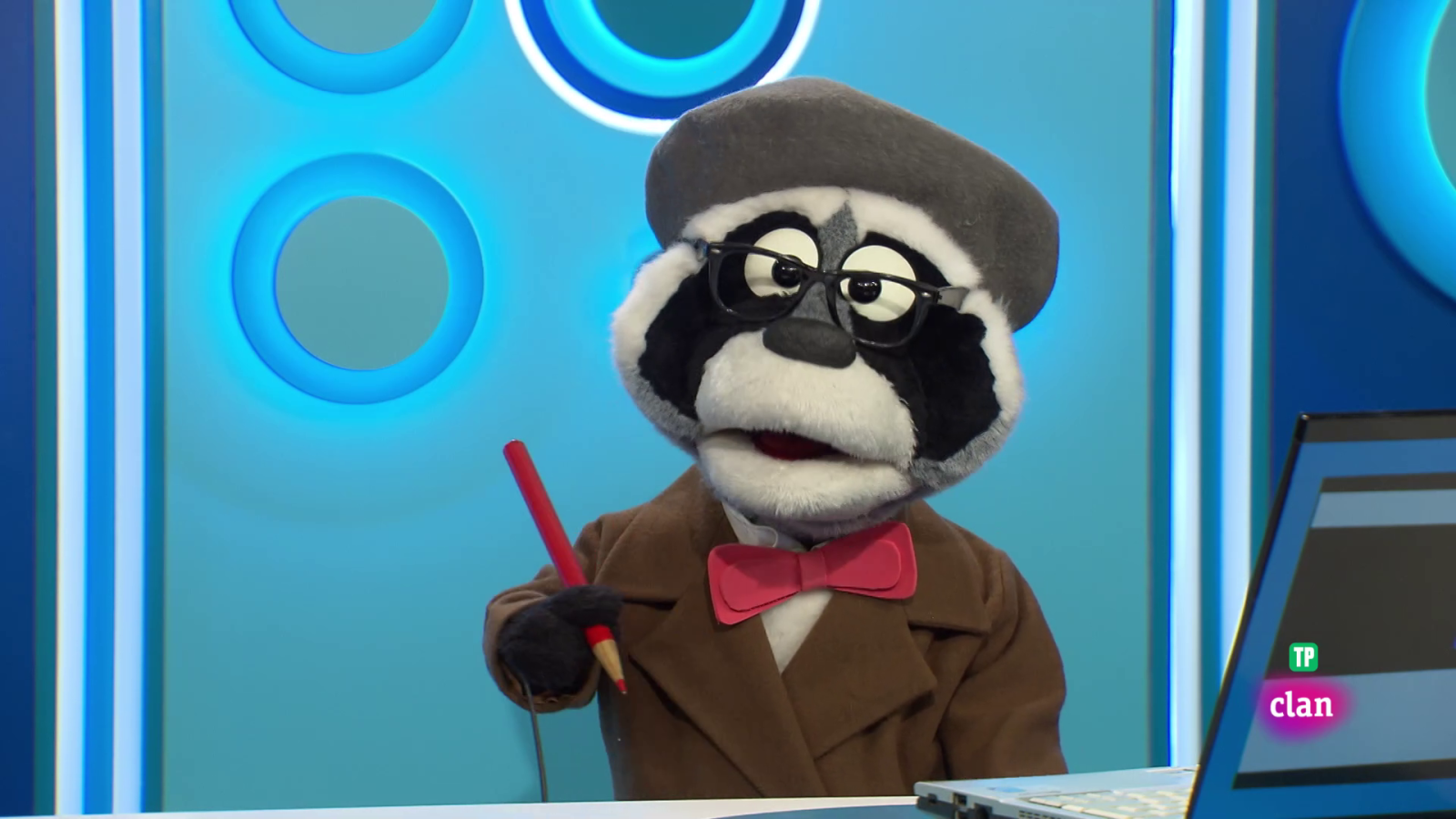 'Está mapachando' - Animales con muchos años y más - Aprendemos en Clan | Ver