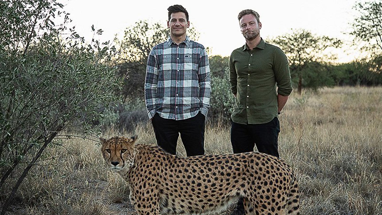 Mito animal - Gatos - ver ahora