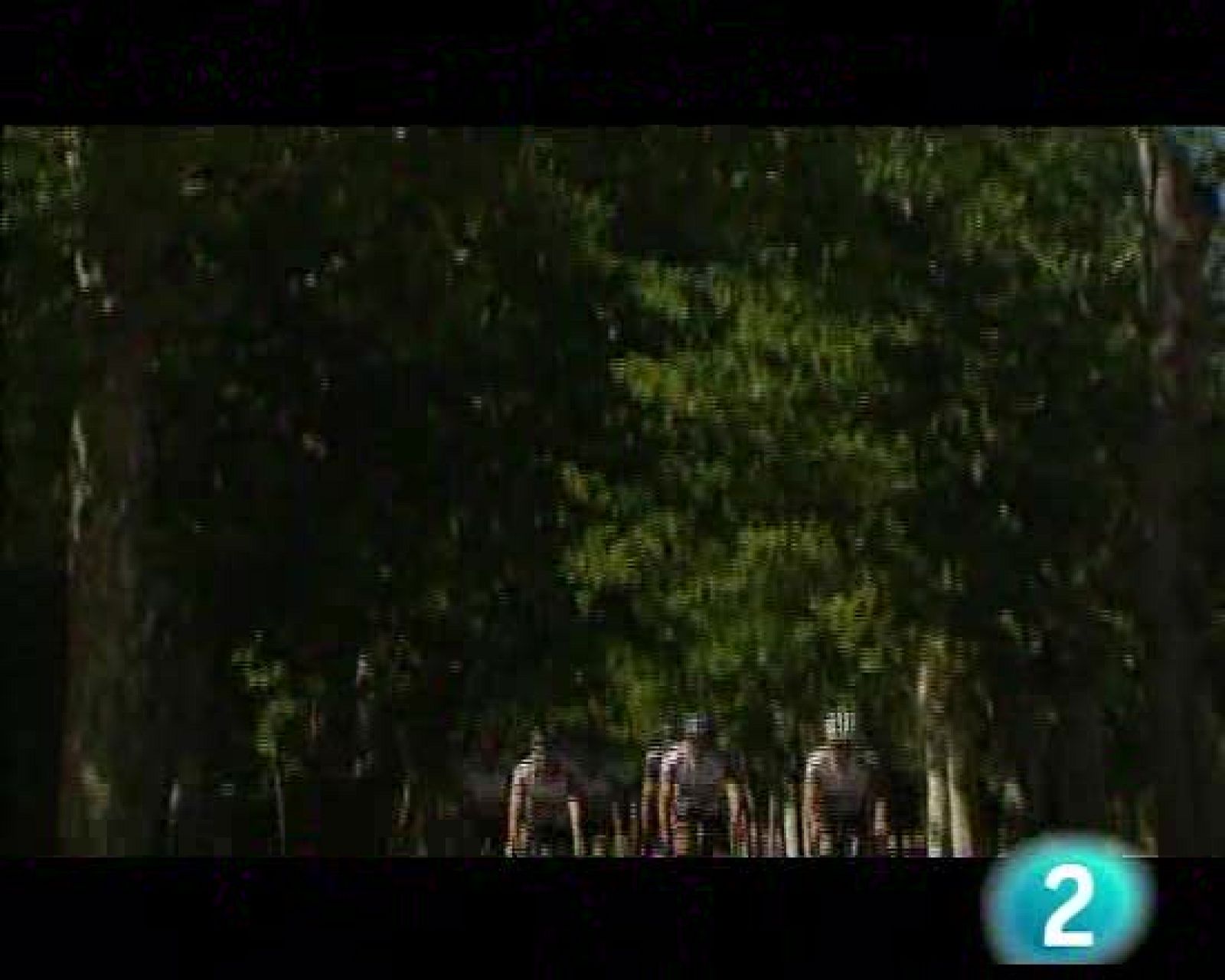 Palabra por palabra - Reportaje ciclismo - Palabra por palabra | Ver