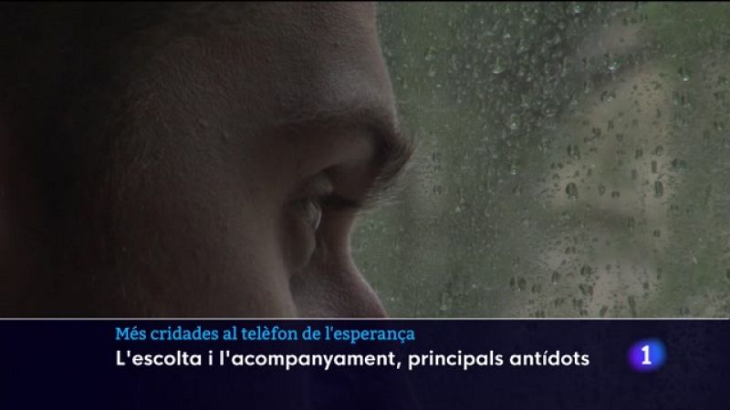 4.800 persones han demanat enguany ajuda al telèfon de l'esperança