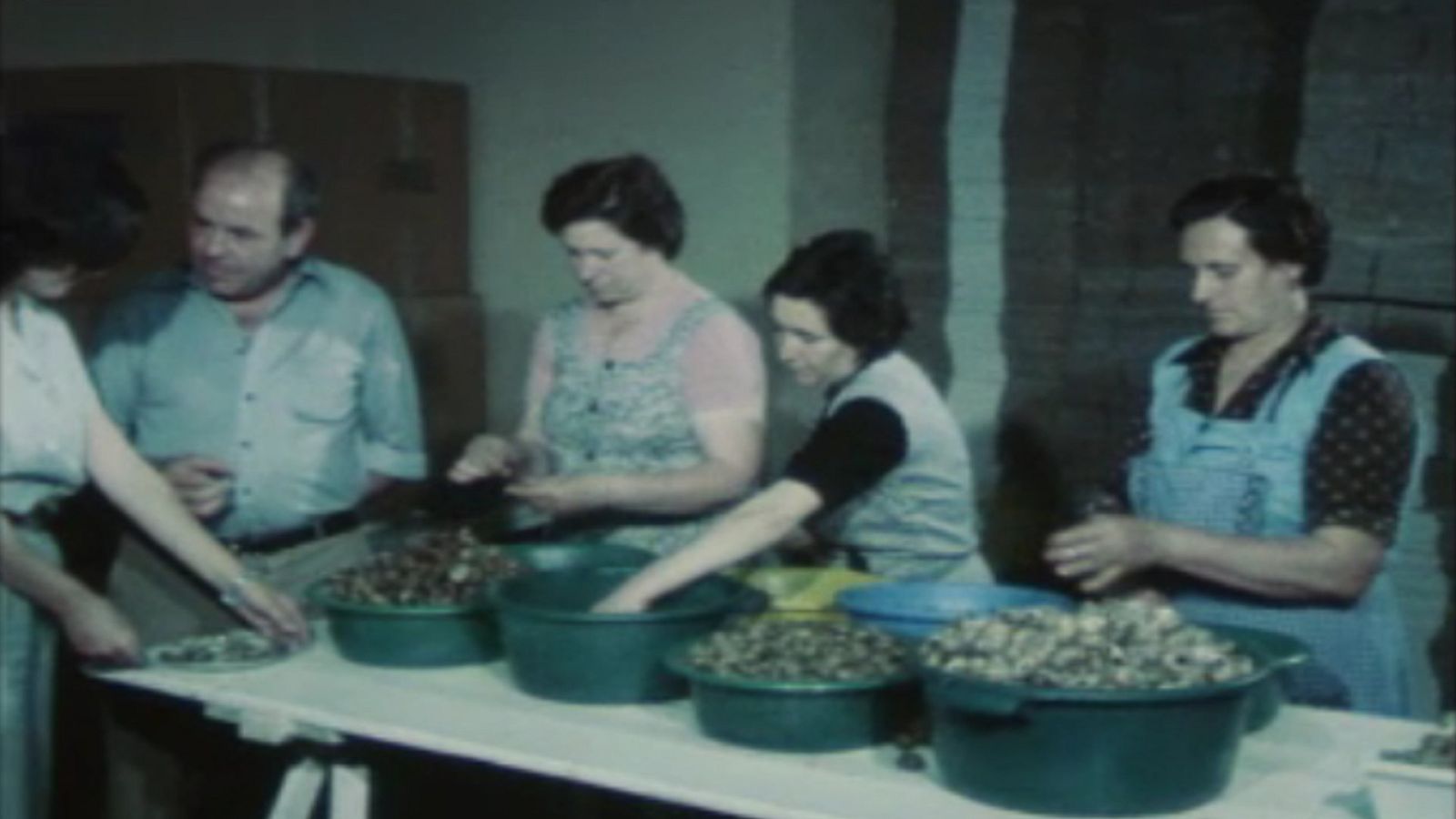 Arxiu TVE Catalunya - Als Quatre vents - Granja de caragols a Breda