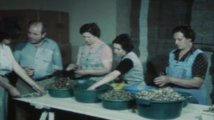 Al quatre vents - Granja de caragols a Breda