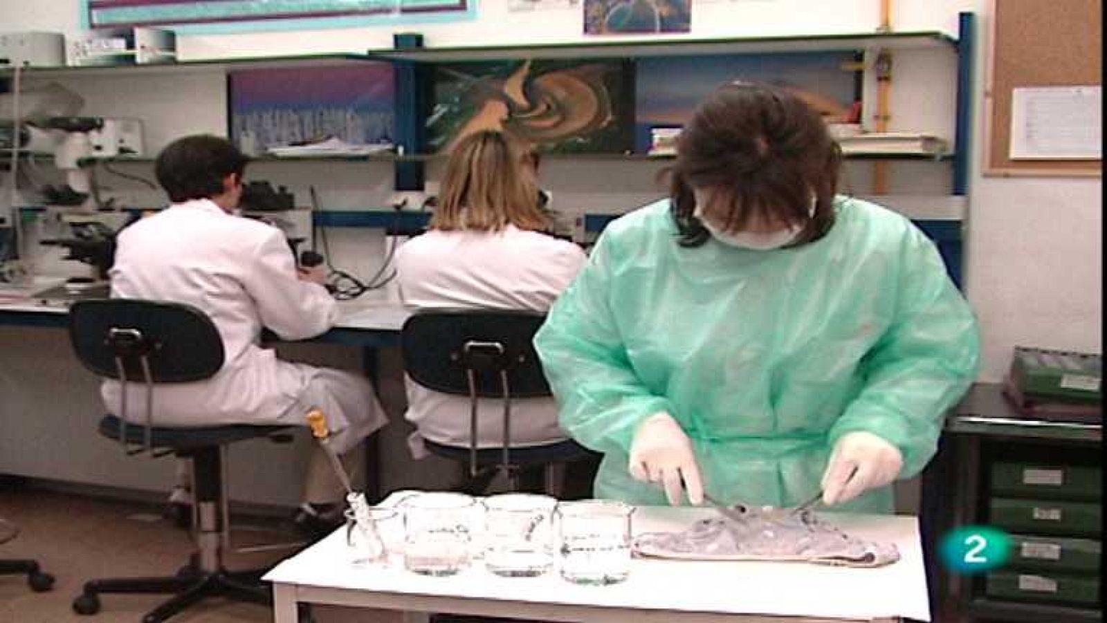 Paisajes de la Historia - Investigación criminal forense - ver ahora