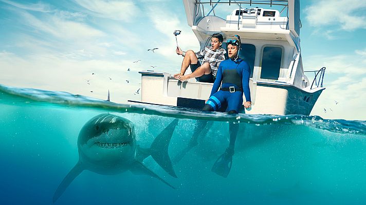 Mito animal - Tiburones