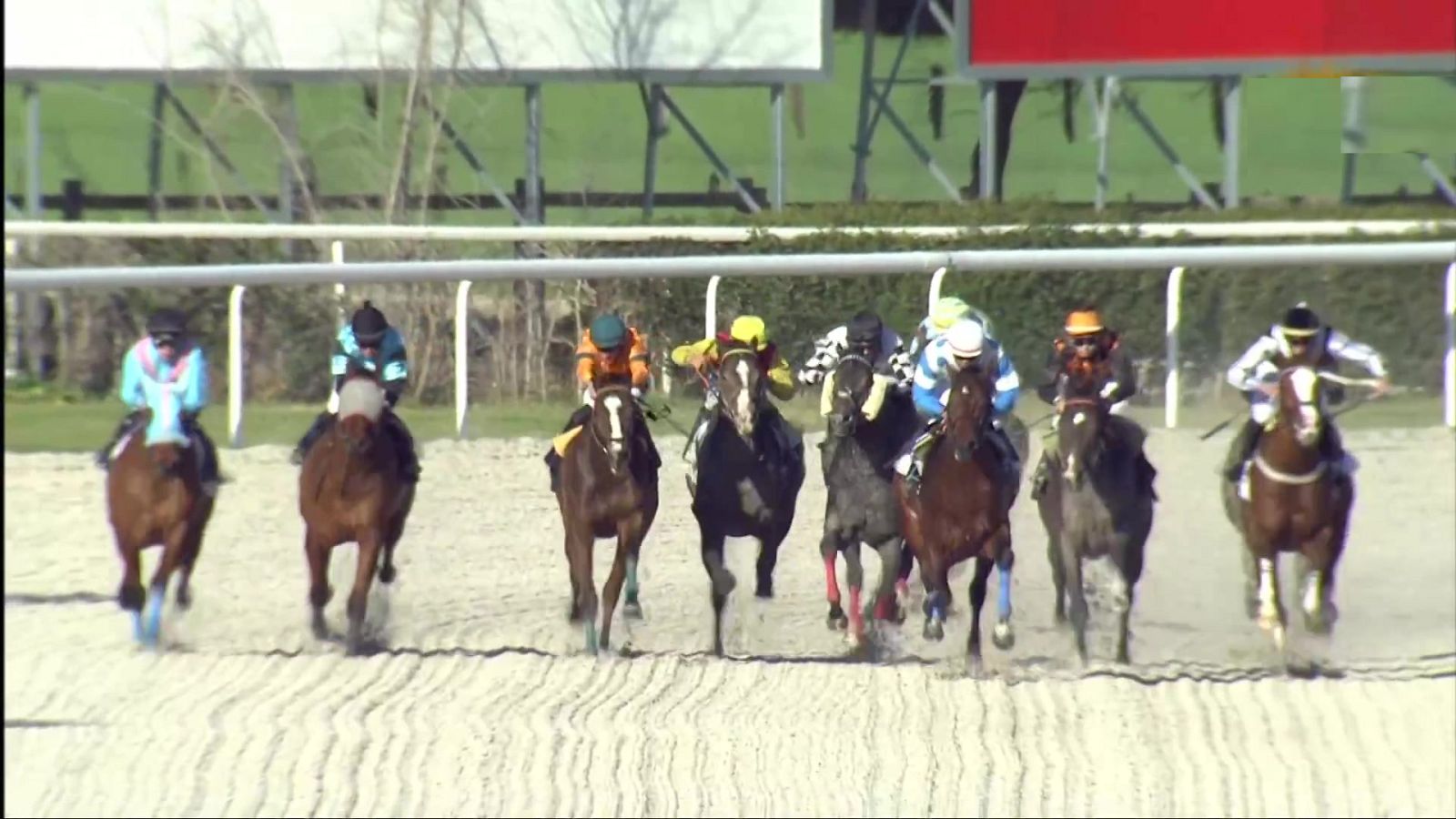 Hípica - Circuito nacional de carreras de caballos desde el Hipódromo de La Zarzuela (Madrid) - ver ahora