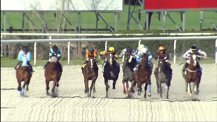 Hípica - Circuito nacional carreras de caballos (Hipod. La Zarzuela)