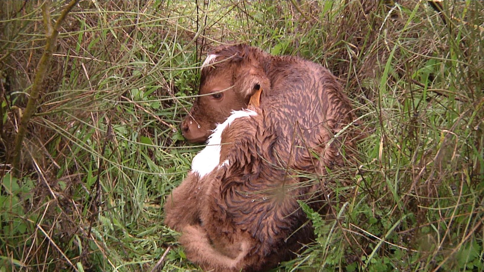 Tendido cero - 08/01/22 - ver ahora