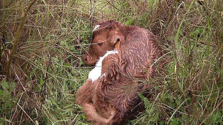 Tendido cero - Tendido cero - 08/01/22
