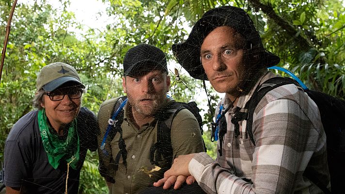 Mito animal - Arañas