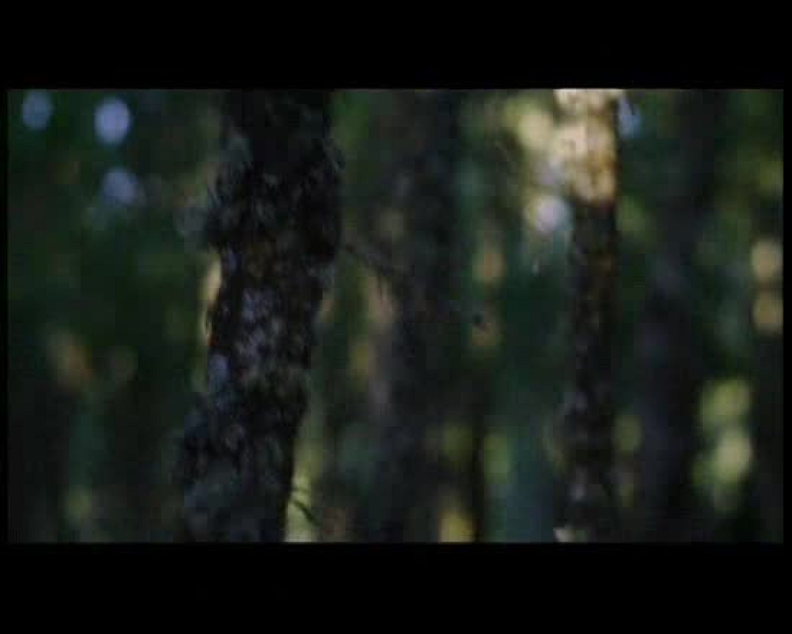 Disco del año 2009 - Amaia Montero - Te voy a decir una cosa - Disco del año 2009 | Ver