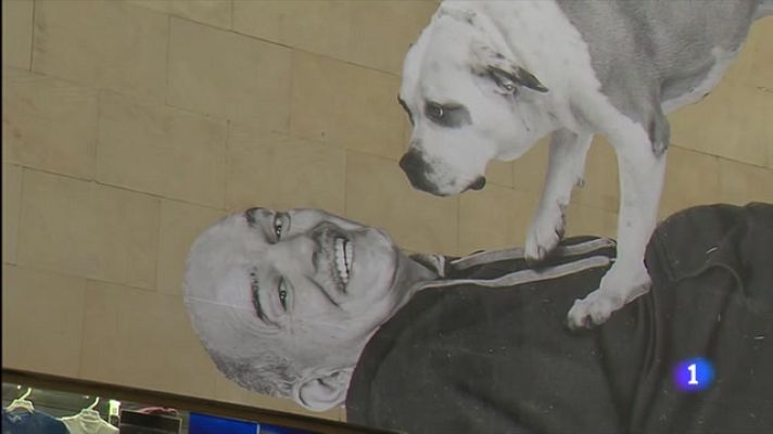 L'Informatiu - Arrels retrata 13 persones a diferents murals de Barcelona