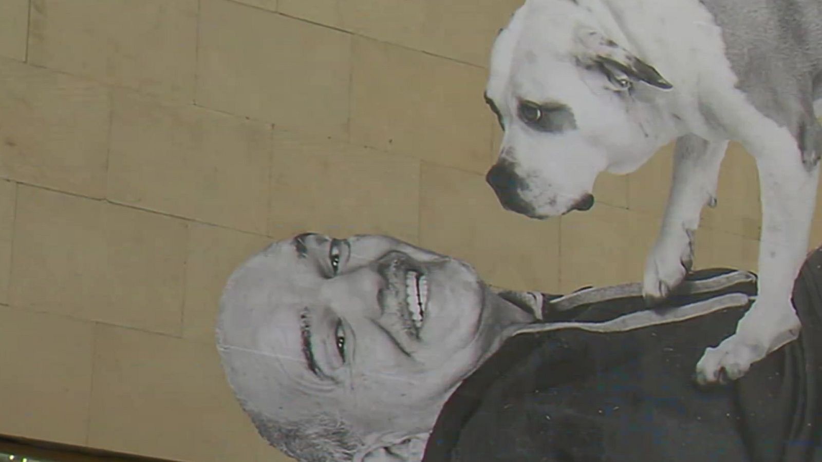 Teo Vázquez, el pintor de los sintecho | Ver