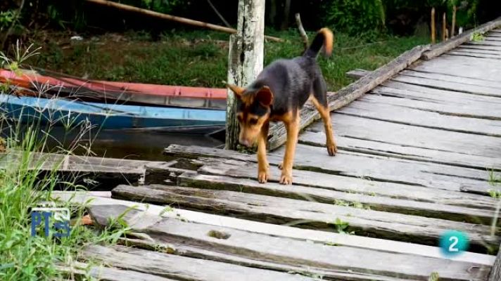Para todos La 2 - Entrevista a Isabel Buil de la Fundación Affinity