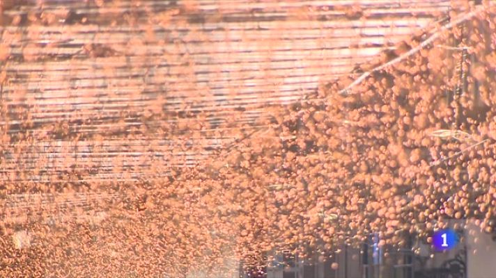 Telediario Fin de Semana - ¿Han cambiado nuestros propósitos de Año Nuevo?