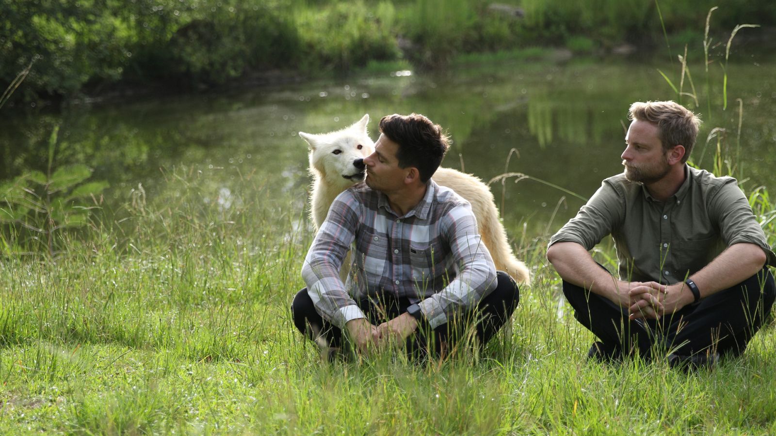 Mito animal - Perros - ver ahora