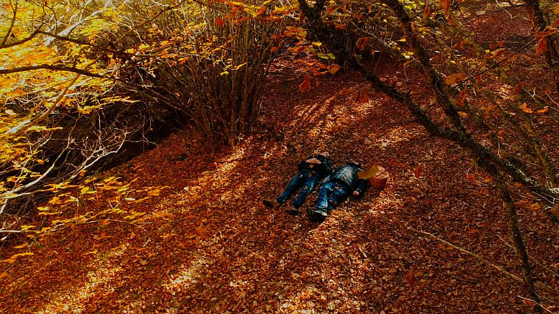 El señor de los bosques - Fuente del Cobre, Palencia