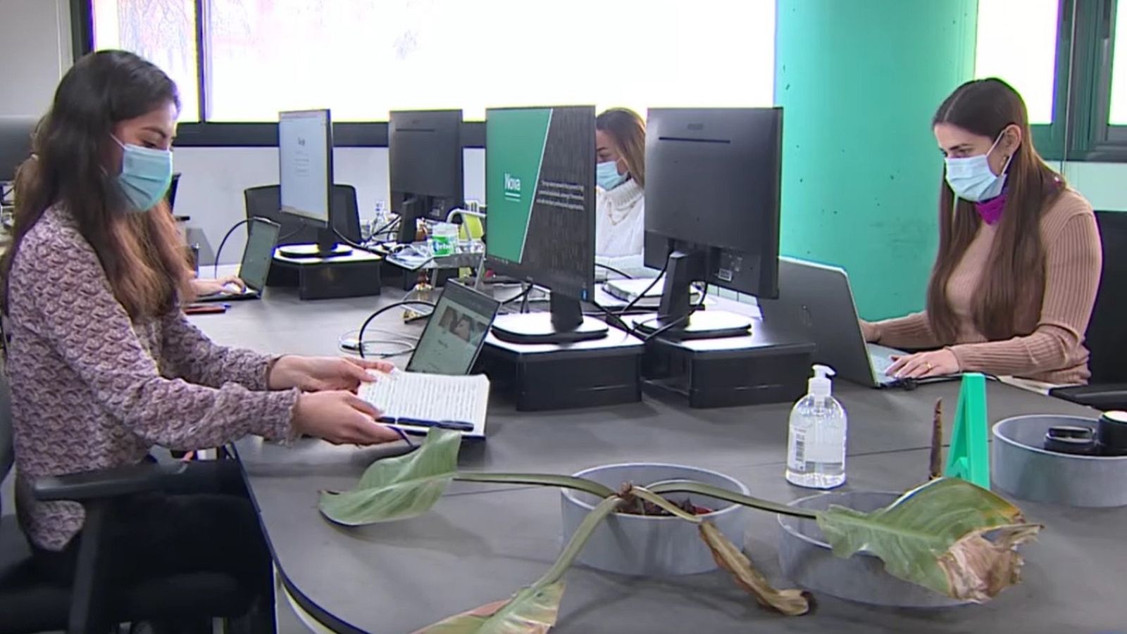 Las historias detrás de la caída del paro | Ver