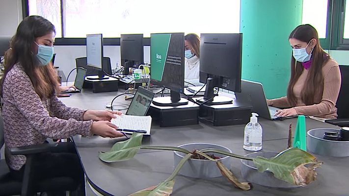 Telediario 1 - Las historias detrás de la caída del paro: Alejandro y Anabel esperan encontrar estabilidad laboral este año