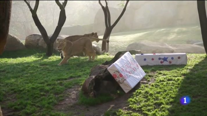 L'informatiu - Comunitat Valenciana - L'Informatiu Comunitat Valenciana 2 - 04/01/22