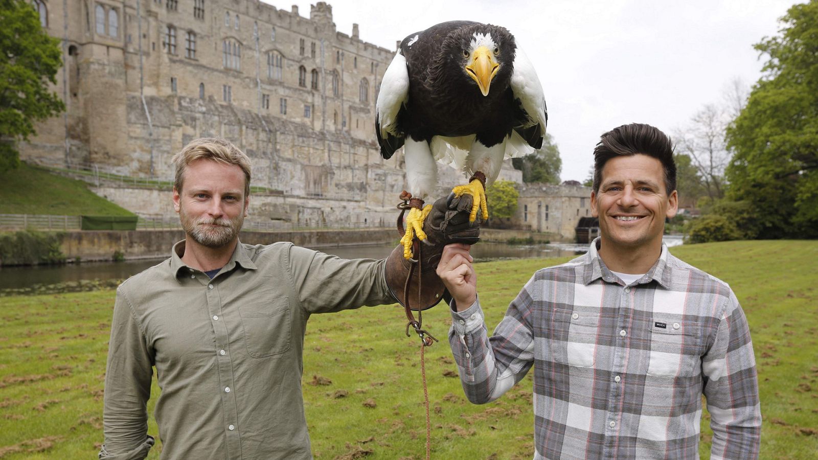 Mito animal - Águilas - ver ahora