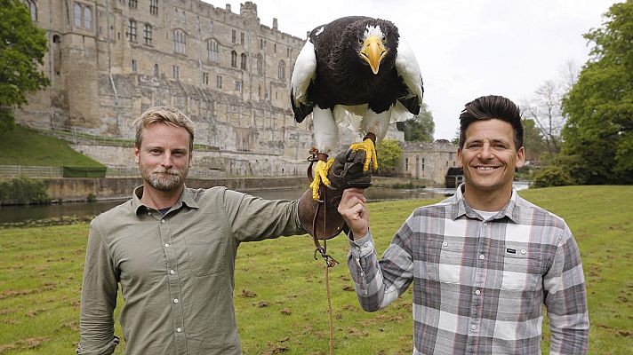 Mito animal - Águilas