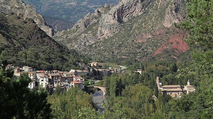 El bosque protector - Torrente Enseu