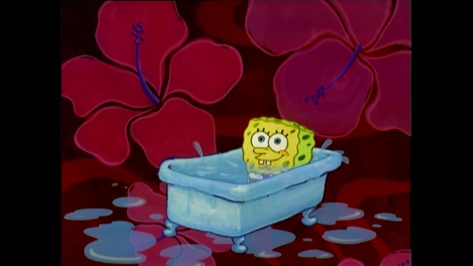 El cocinero original - Bob Esponja | Ver