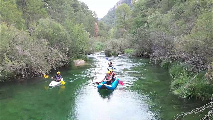 Agrosfera - Agrosfera - 08/01/22