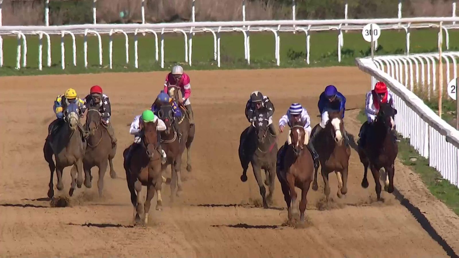 Hípica - Circuito nacional de carreras de caballos, Hipódromo de Dos Hermanas (Sevilla) - ver ahora
