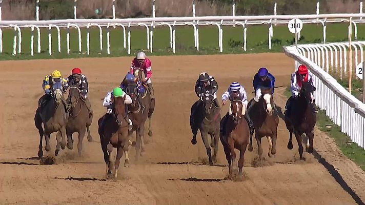 Hípica - Carreras de caballos, Hipódromo de Dos Hermanas (Sevilla)