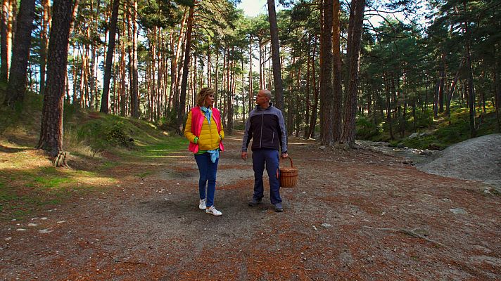 El señor de los bosques - Boca del Asno (Segovia)