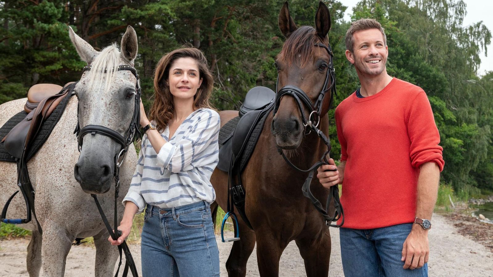 Cine - El secreto de los Nordquists - Ver ahora